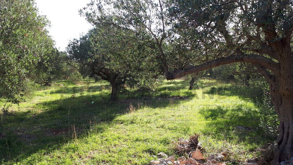 Terreno, 1864 m2, Vendita, Mirca