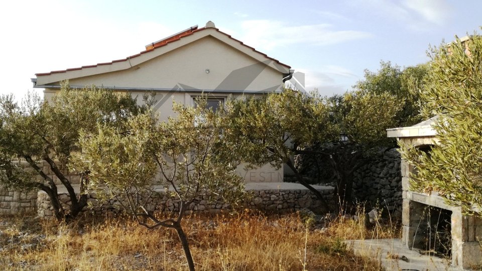 Maslinik s kućicom- Milna
