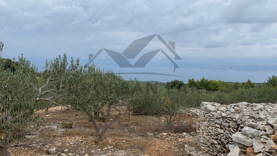 We mediate in the sale of agricultural land in Supetar