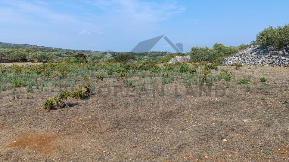 AGRICULTURAL LAND – ŠKRIP