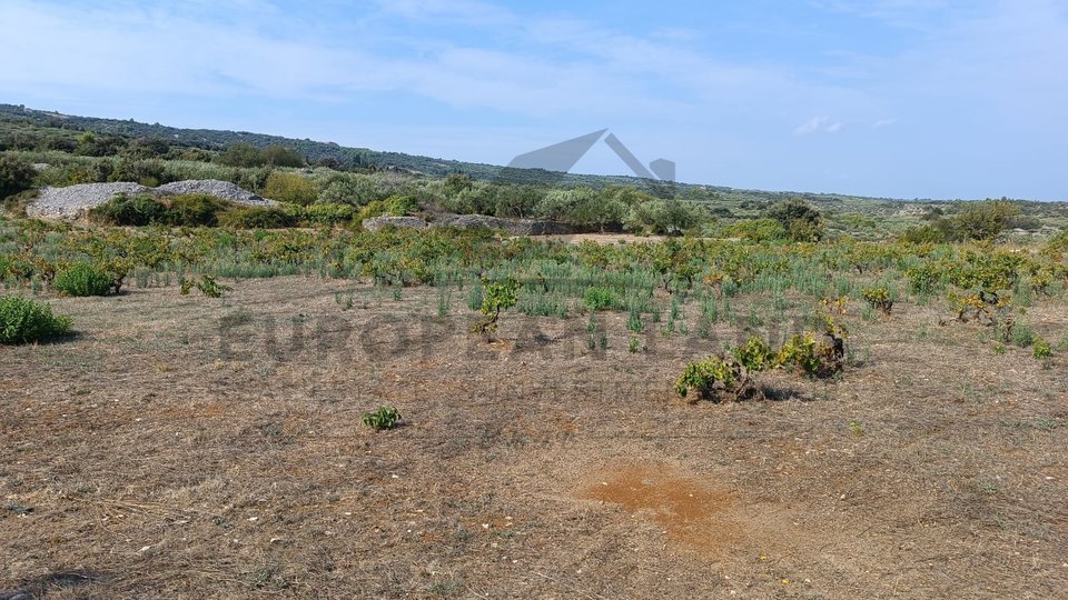 Terreno, 6296 m2, Vendita, Škrip