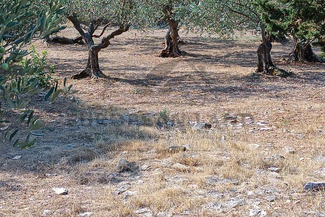 AGRICULTURAL LAND – ŠKRIP