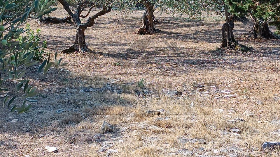 POLJOPRIVREDNO ZEMLJIŠTE – ŠKRIP