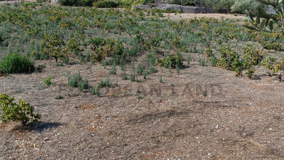 AGRICULTURAL LAND – ŠKRIP